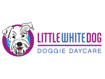 littlewhitedog